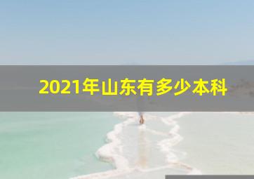 2021年山东有多少本科