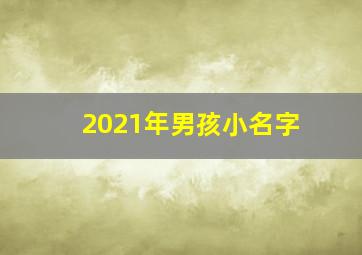 2021年男孩小名字