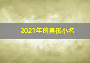 2021年的男孩小名