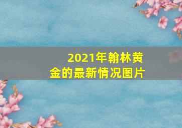 2021年翰林黄金的最新情况图片