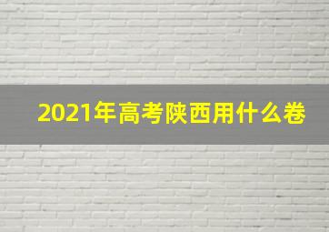 2021年高考陕西用什么卷