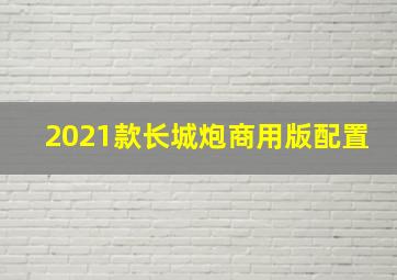 2021款长城炮商用版配置