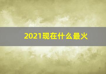 2021现在什么最火