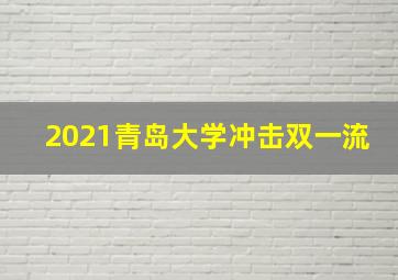 2021青岛大学冲击双一流