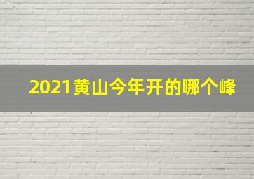 2021黄山今年开的哪个峰