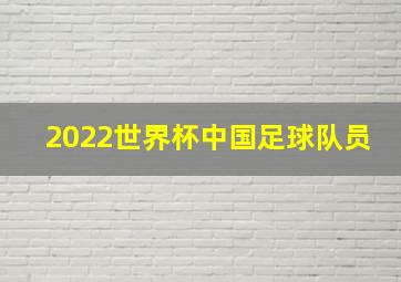 2022世界杯中国足球队员