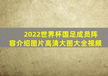 2022世界杯国足成员阵容介绍图片高清大图大全视频