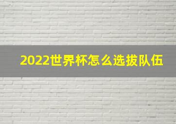 2022世界杯怎么选拔队伍