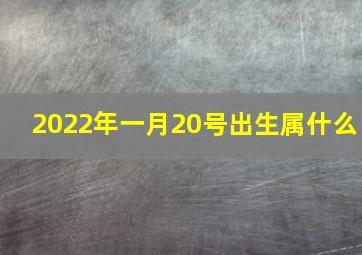 2022年一月20号出生属什么