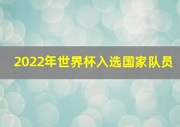 2022年世界杯入选国家队员