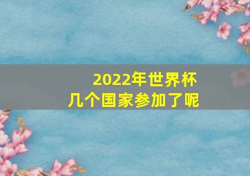 2022年世界杯几个国家参加了呢