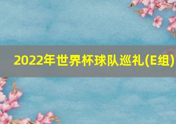 2022年世界杯球队巡礼(E组)