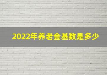 2022年养老金基数是多少