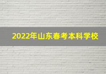 2022年山东春考本科学校