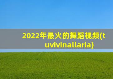 2022年最火的舞蹈视频(tuvivinallaria)