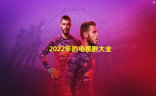 2022年的电视剧大全