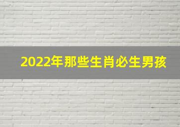 2022年那些生肖必生男孩