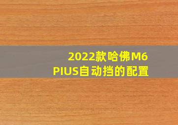 2022款哈佛M6PIUS自动挡的配置