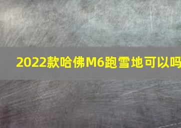 2022款哈佛M6跑雪地可以吗