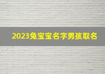 2023兔宝宝名字男孩取名