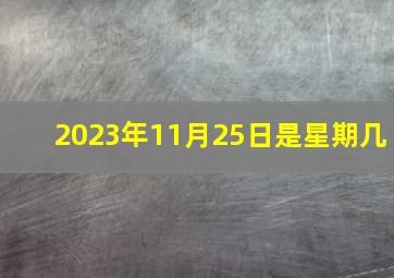 2023年11月25日是星期几