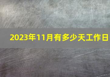 2023年11月有多少天工作日