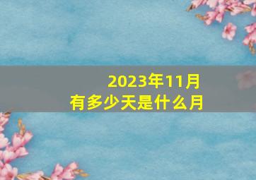 2023年11月有多少天是什么月