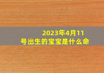 2023年4月11号出生的宝宝是什么命