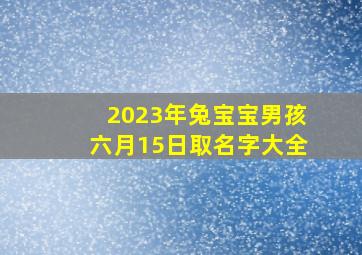 2023年兔宝宝男孩六月15日取名字大全