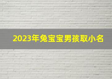 2023年兔宝宝男孩取小名