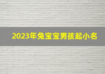 2023年兔宝宝男孩起小名