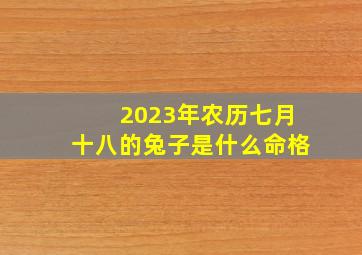 2023年农历七月十八的兔子是什么命格