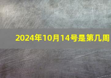 2024年10月14号是第几周