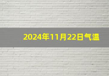 2024年11月22日气温