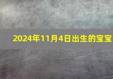 2024年11月4日出生的宝宝