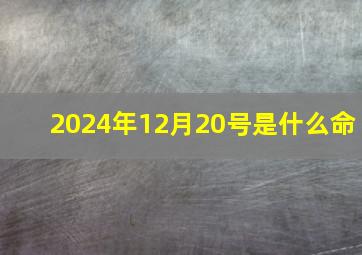 2024年12月20号是什么命