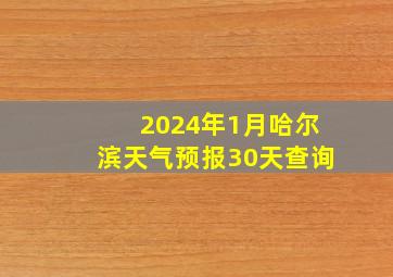 2024年1月哈尔滨天气预报30天查询