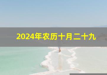 2024年农历十月二十九