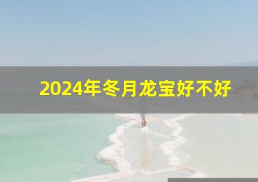 2024年冬月龙宝好不好