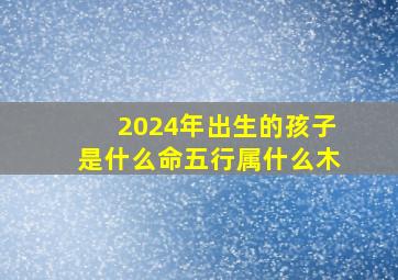 2024年出生的孩子是什么命五行属什么木