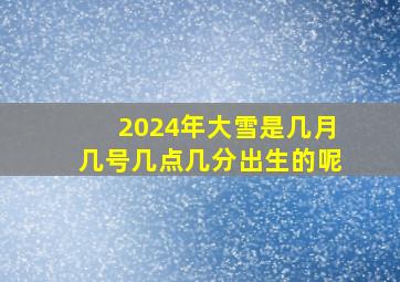 2024年大雪是几月几号几点几分出生的呢