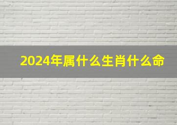 2024年属什么生肖什么命