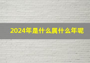 2024年是什么属什么年呢