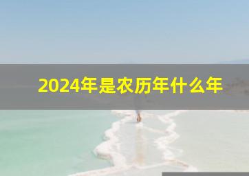 2024年是农历年什么年