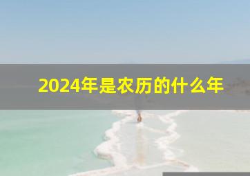 2024年是农历的什么年