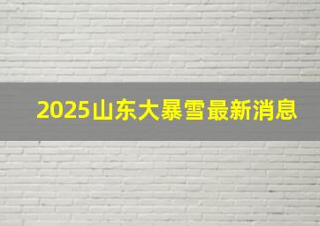 2025山东大暴雪最新消息