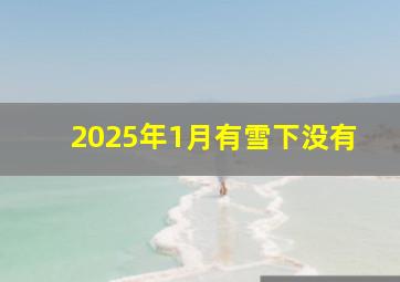 2025年1月有雪下没有