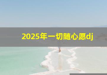 2025年一切随心愿dj