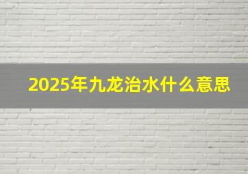 2025年九龙治水什么意思