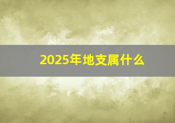 2025年地支属什么